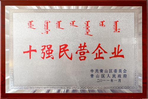 十强民营企业